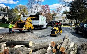 Best Lawn Grading and Leveling  in Mound, MN